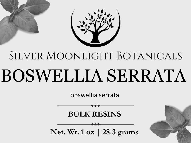 Boswellia Serrata Resin | Indian Frankincense Pieces