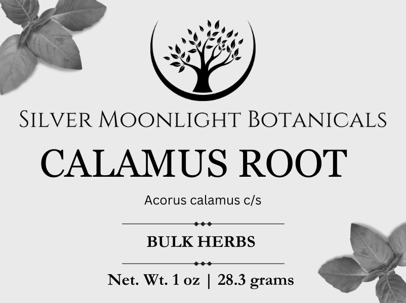 Calamus Root | German Ginger | Myrtle Grass | Acorus calamus
