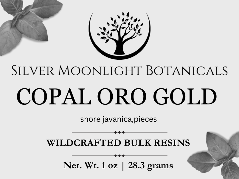 Copal Oro Gold Pieces | Wild-crafted Copal Oro Pieces | Shorea Javanica