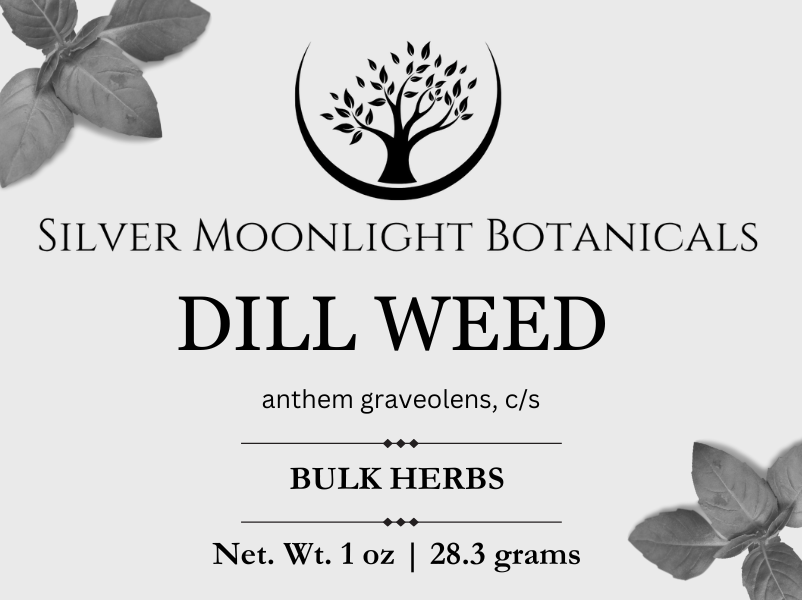 Dill Weed | Organic Dill Weed |Anethum Graveolens