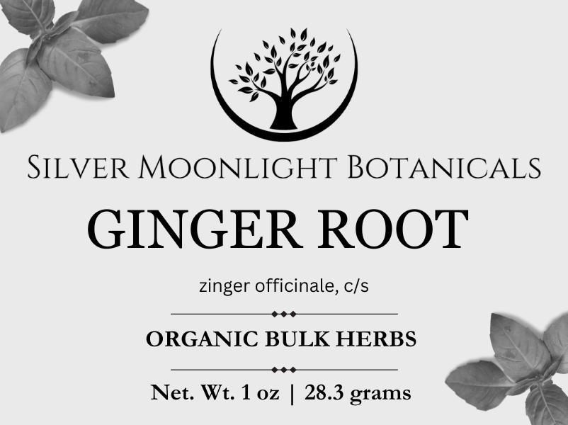 Ginger Root | Organic Ginger Root | Zingiber officinale