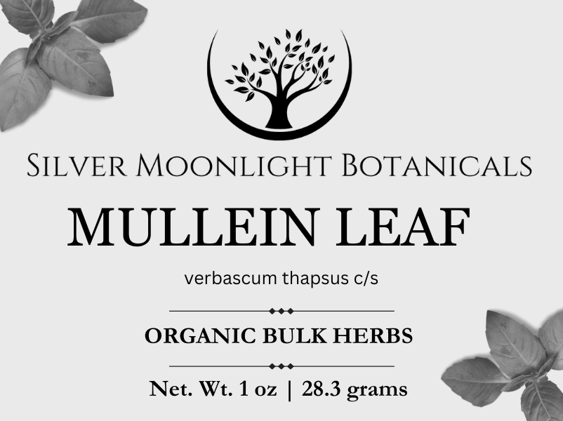 Mullein Leaf | Organic Mullein Leaf | Verbascum Thapsus