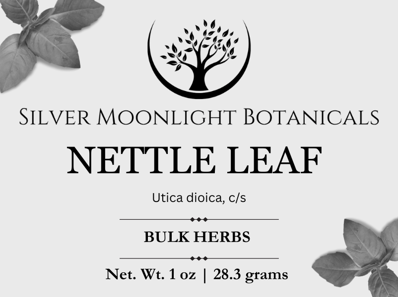 Nettle Leaf | Urtica dioica