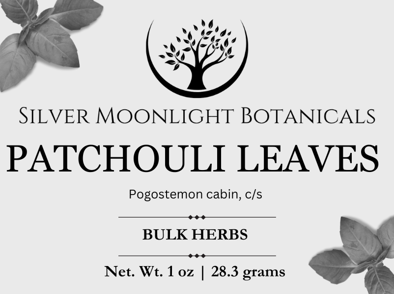 Patchouli leaves | Pogostemon cabin