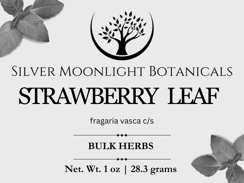 Strawberry Leaf | Fragaria Vesca
