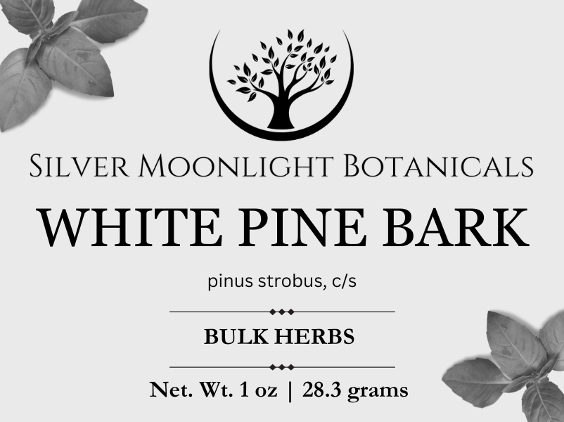 White Pine Bark | Pinus strobus