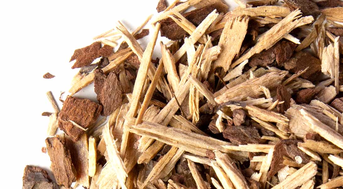 White Pine Bark | Pinus strobus