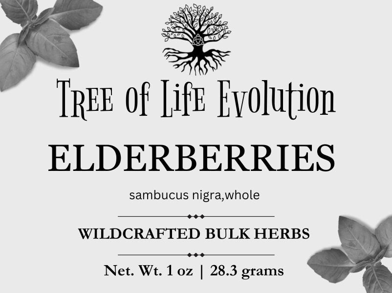 Elderberries | Whole Elderberries | Wildcrafted Elderberries | Sambucus nigra