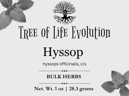 Hyssop | Hyssopus officinalis