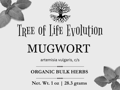 Mugwort | Organic Mugwort | Artemisia vulgaris