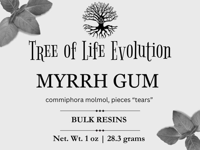 Myrrh Gum Pieces | Myrrh Resin | Incense | Commiphora molmol