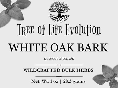 White Oak Bark | Wildcrafted White Oak Bark | Quercus alba
