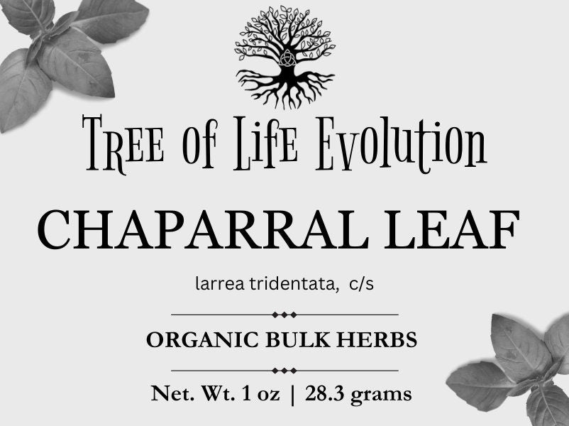 Chaparral Leaf | Organic Chaparral Leaf | Larrea tridentata