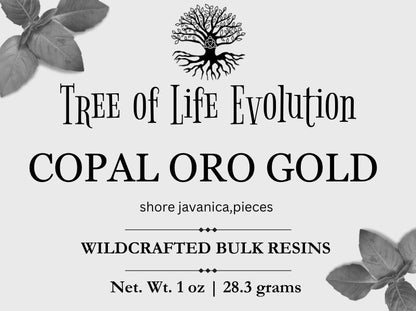 Copal Oro Gold Pieces | Wild-crafted Copal Oro Pieces | Shorea Javanica