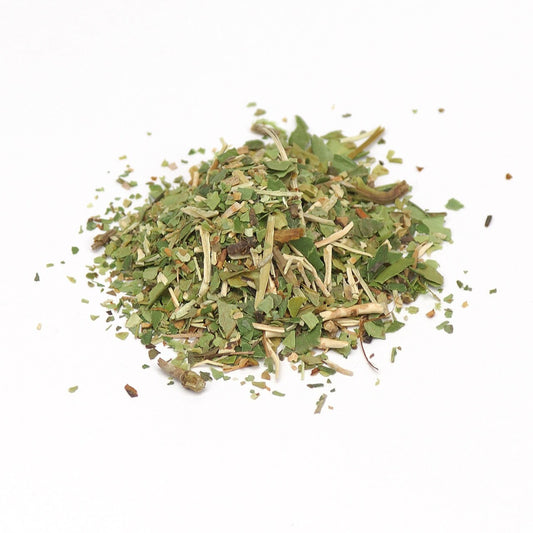 Pipsissewa Herb | Wildcrafted Pipsissewa Herb | Chimaphila umbellate 1 oz