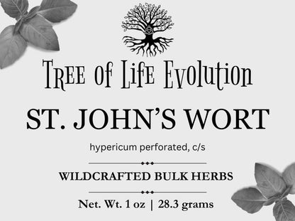 St. John’s Wort | Wildcrafted St. John’s Wort | Hypericum perforatum