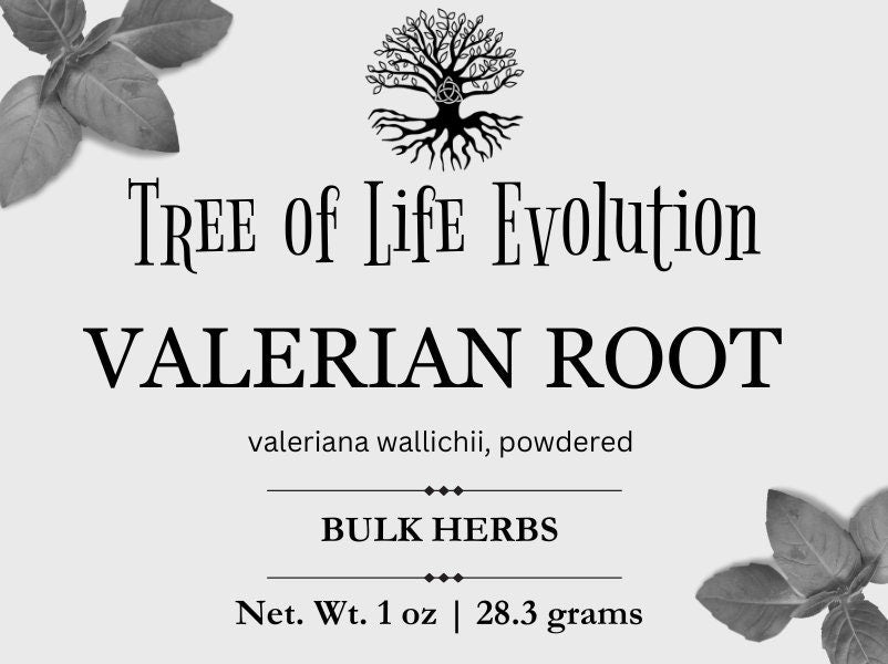 Valerian Root Powder | Valeriana wallichii
