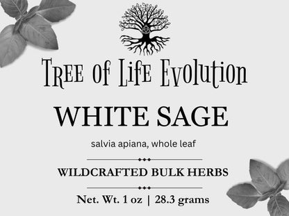 White Sage Leaf | Loose White Sage Leaf | Ceremonial White Sage | Salvia apiana
