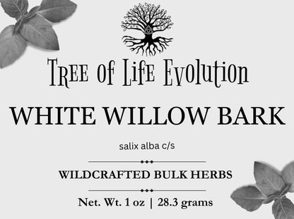 White Willow Bark | Wildcrafted White Willow Bark | Salix alba