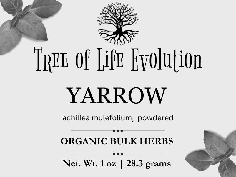 Yarrow Powder | Organic Yarrow Powder | Achillea millefolium