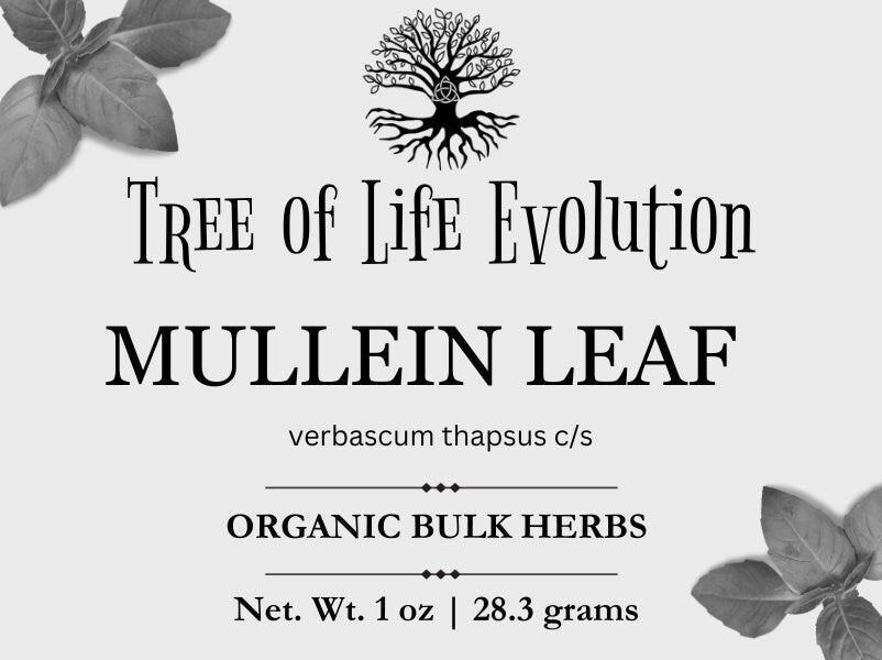 Mullein Leaf | Organic Mullein Leaf | Verbascum Thapsus