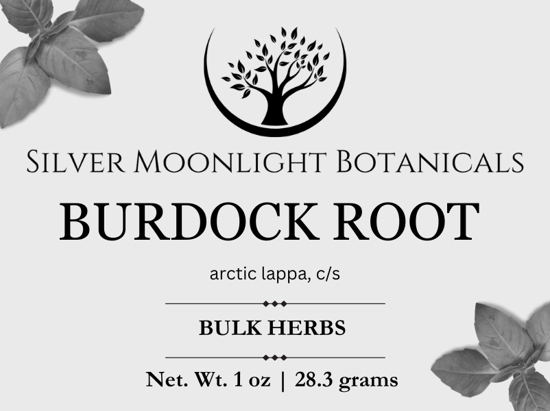 Burdock Root | Burdock Root Tea | Arctium lappa