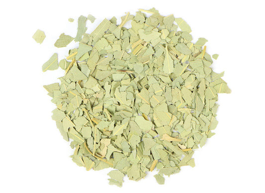 Eucalyptus Leaf | Eucalyptus globulus