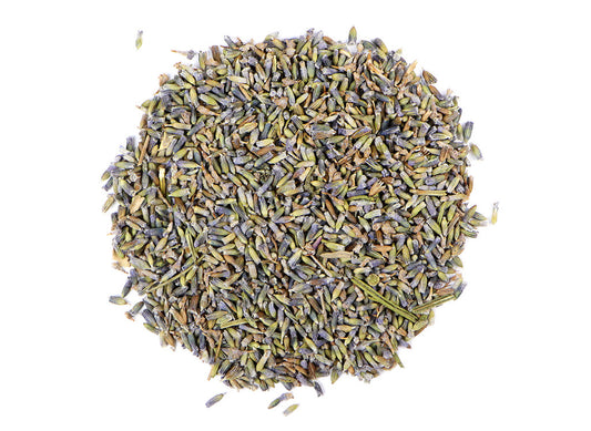Lavender Flowers | Strong Blue Color Lavender Flowers | Lavandula x intermedia