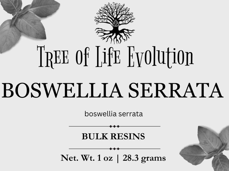 Boswellia Serrata Resin | Indian Frankincense Pieces