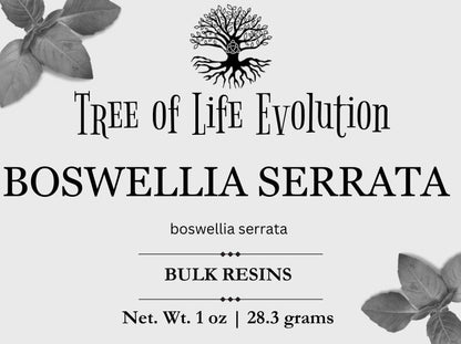 Boswellia Serrata Resin | Indian Frankincense Pieces