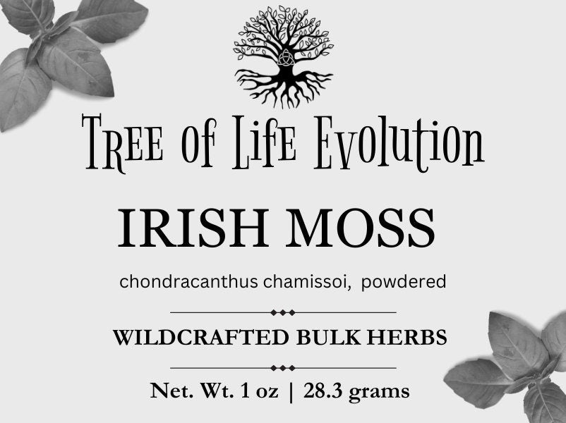 Irish Moss Powder | Wildcrafted Iris Moss Powder | Sea Moss Powder | Chondracanthus chamissoi