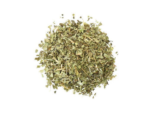 Lemon Verbena | Aloysia triphylla 1 oz