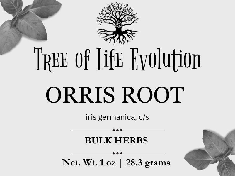 Orris Root | Iris germanica