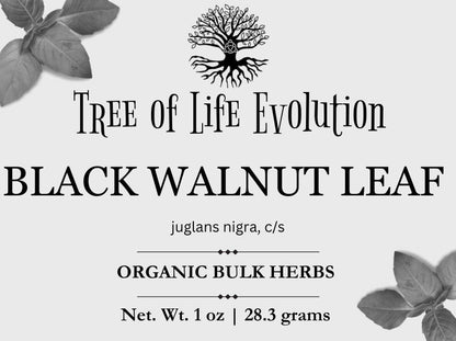 Black Walnut Leaf | Organic Black Walnut Leaf | Juglans nigra