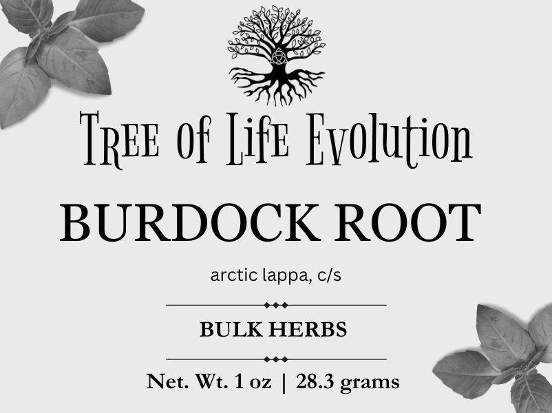 Burdock Root | Burdock Root Tea | Arctium lappa