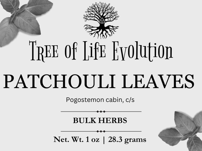 Patchouli leaves | Pogostemon cabin